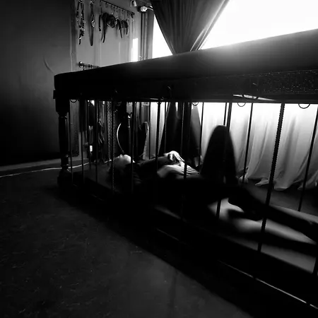 Royal Sinn Signature *