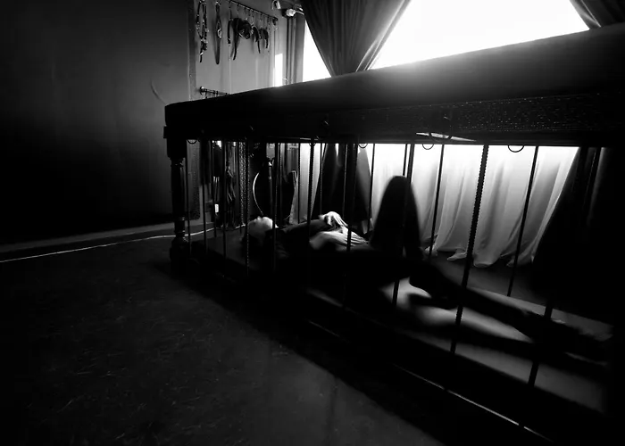 Royal Sinn Signature *